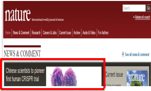 blob.png