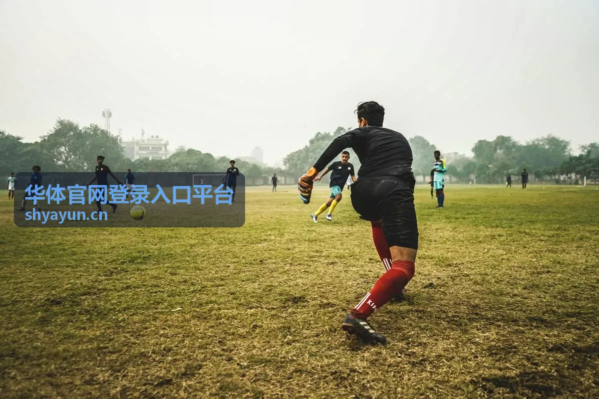 更换设备后重新登录华体官网登录入口平台的场景示意